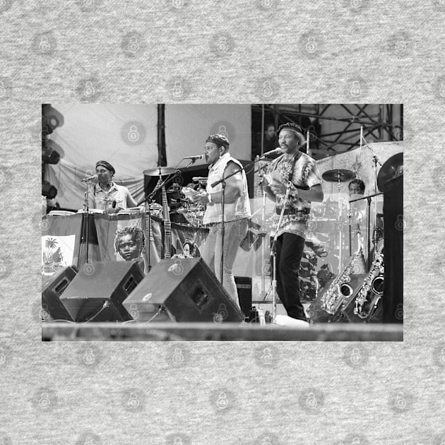 The Neville Brothers BW Photograph by Concert Photos